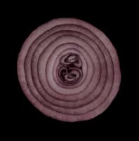 onion