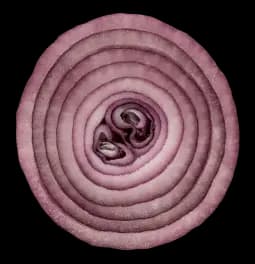 onion